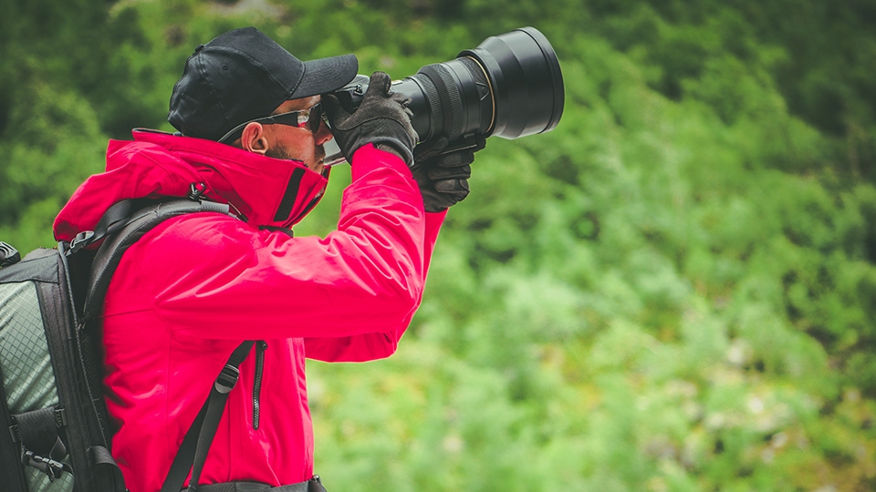 A Guide to Birding with Long Lenses