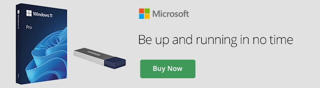 Microsoft Windows Banner