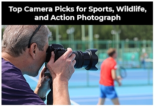 Top Camera Picks for Sports Wildlife and Action photography