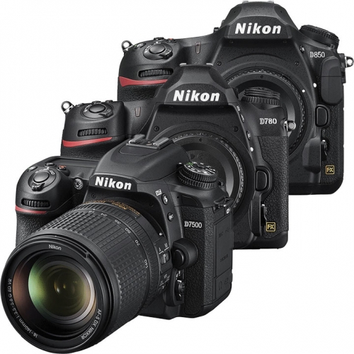 DSLR Cameras