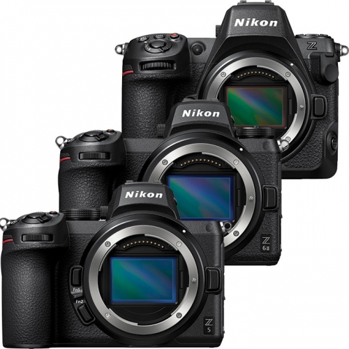 Mirrorless Cameras