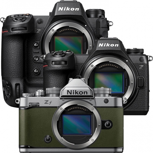 Mirrorless Cameras