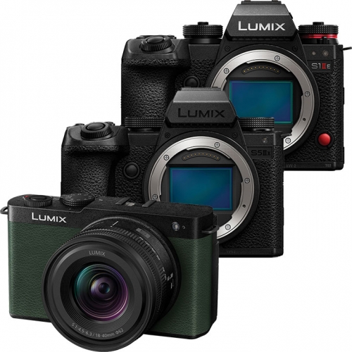 Lumix S Mirrorless Cameras