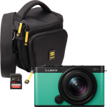 Lumix S9 Mirrorless Camera