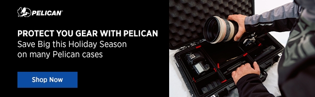 Pelican Banner