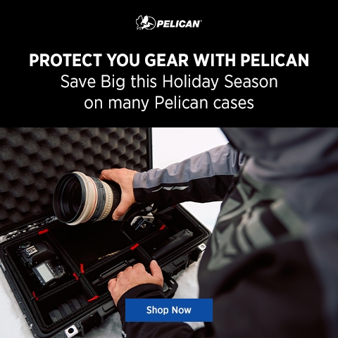 Pelican Banner