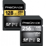SDXC Memory Cards