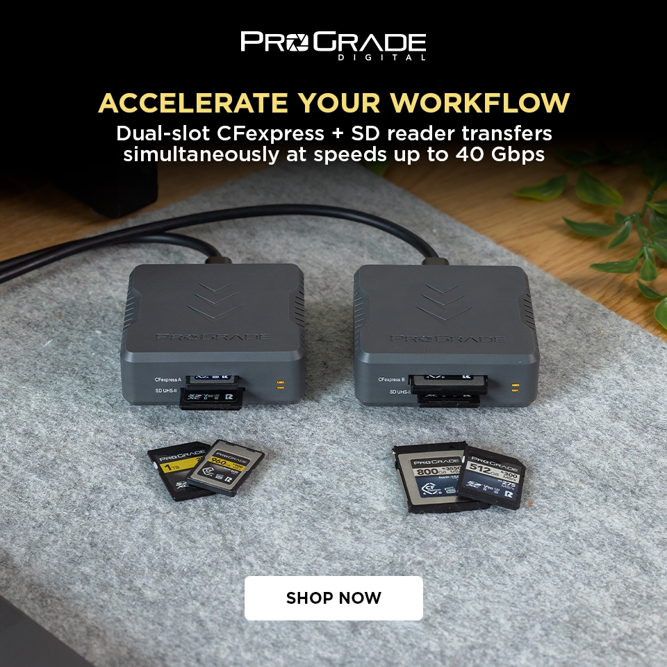 prograde banner 9-10