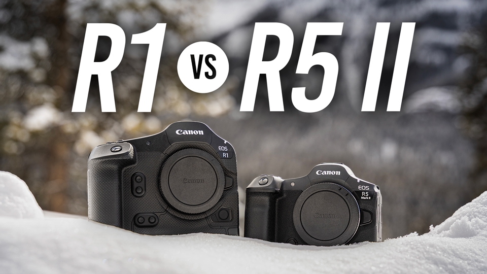 Which of These Canon Cameras Is Better for Wildlife?