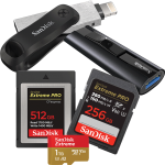 Memory Cards & Flash Drives