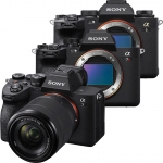 Mirrorless Cameras
