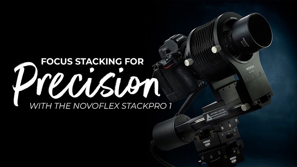 Focus Stacking for Precision with the NOVOFLEX STACKPRO 1
