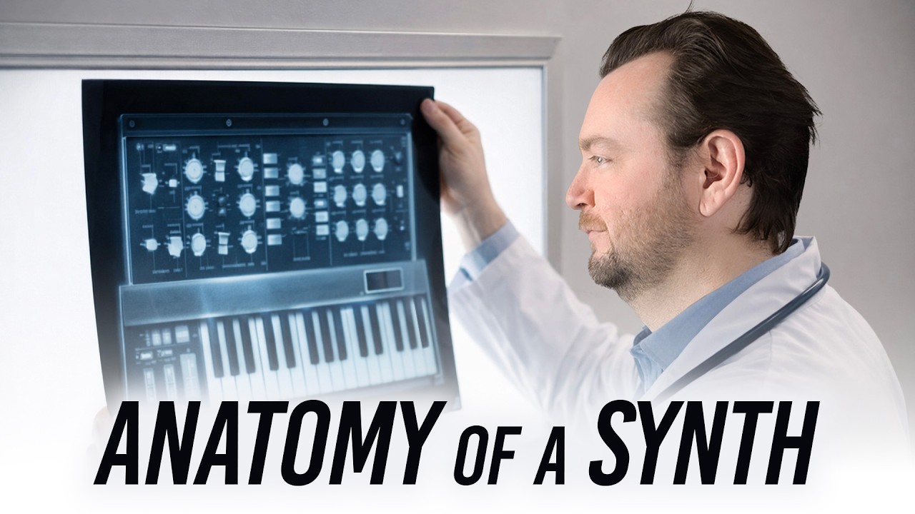 Anatomy of a Synth: Inside the Signal Path