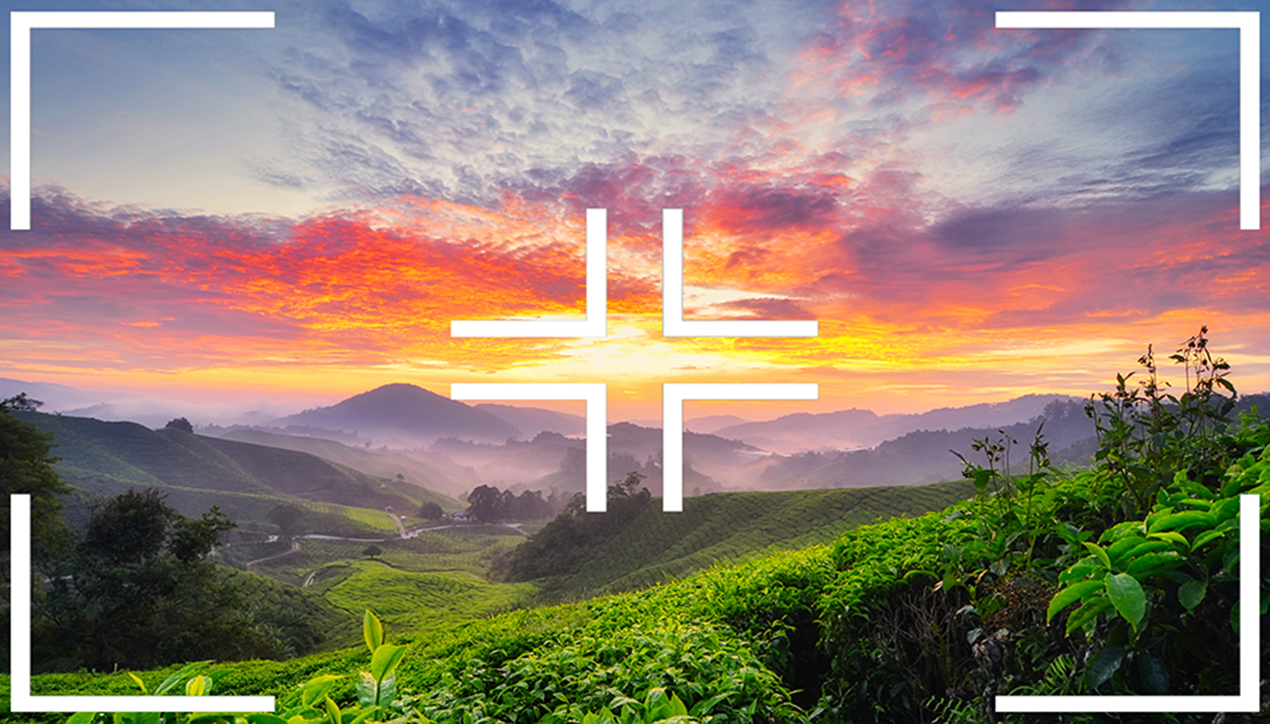 Understanding Camera Metering Modes