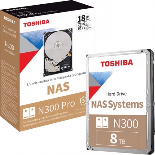 N300 Internal NAS HDD