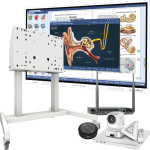 Interactive Displays & Accessories