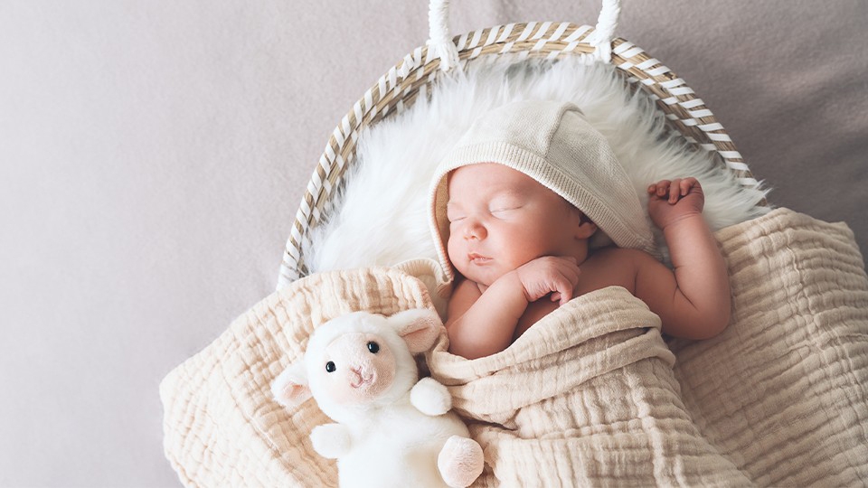A Guide to Accessories for Newborn and Infant Photography