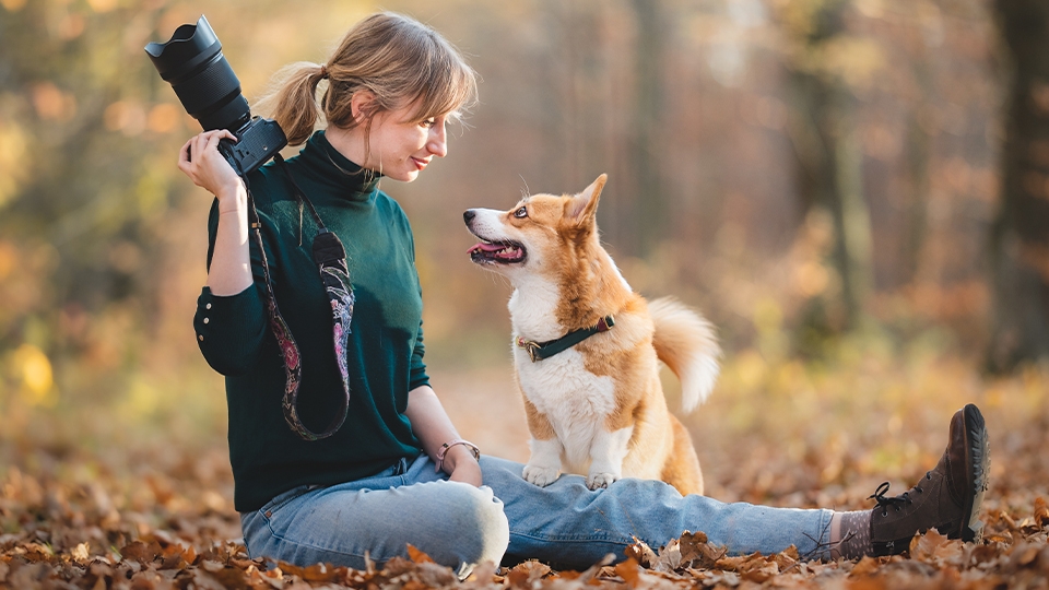 Camera Settings for the Perfect Pet Photos