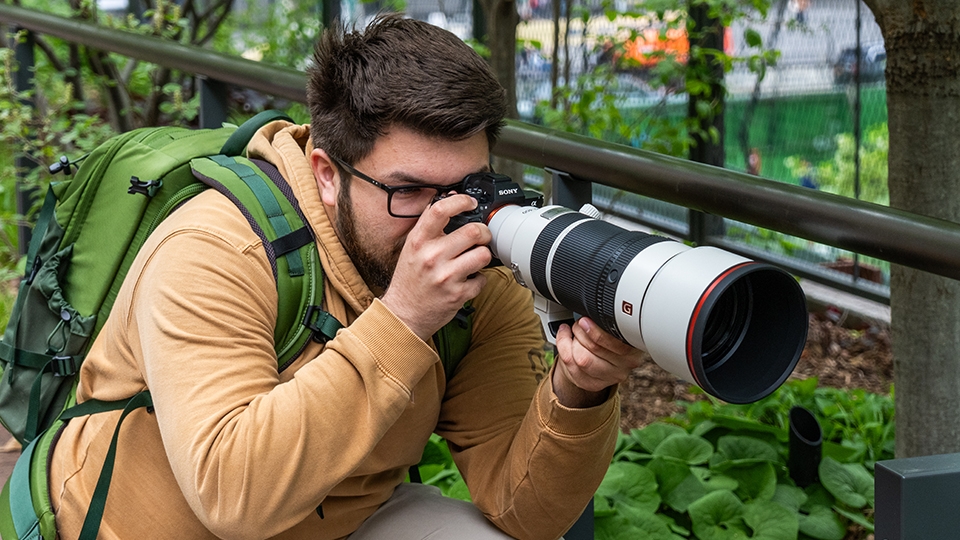 Best Mirrorless Camera Setups for Bird Watchers