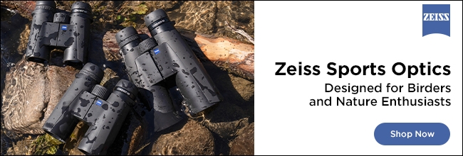 zeiss optics 4-28