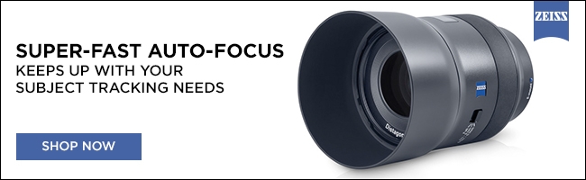 zeiss Banner 10-17