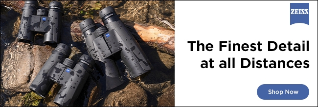 zeiss banner 7-29