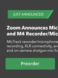 Zoom Banner L