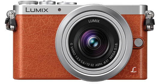 Panasonic Lumix DMC-GM1 Mirrorless Micro Four Thirds DMC-GM1KD