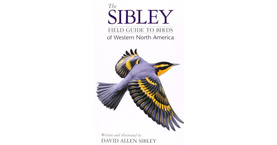 Sibley Guides Book: The Sibley Field Guide To Birds