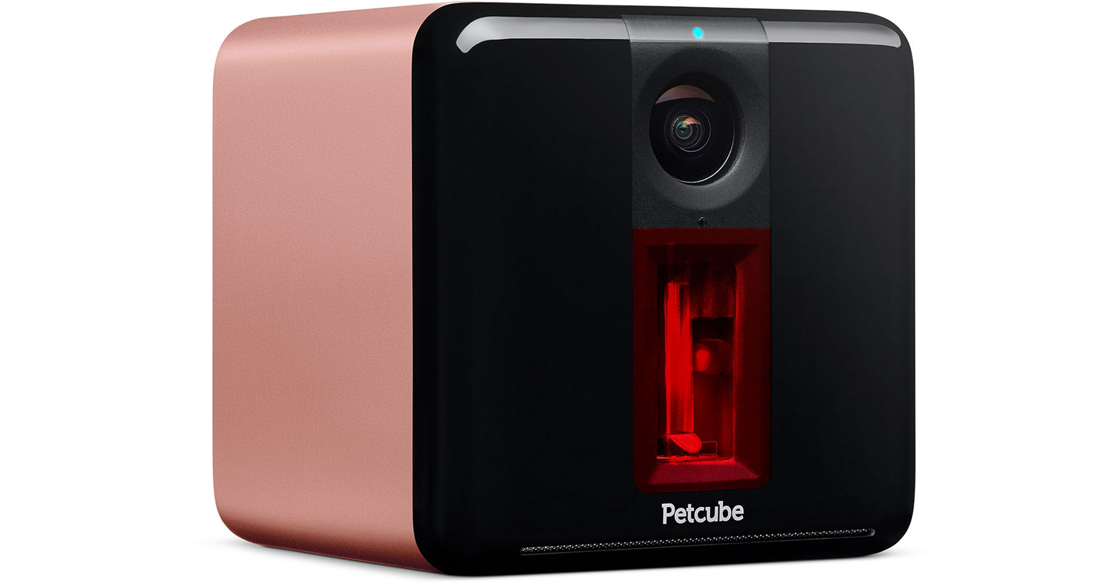 petcube rose gold