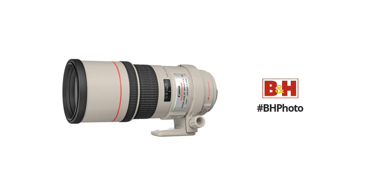 Blanco Objetivo para cámaras Canon Canon EF 300 MM F4L IS USM 8 Hojas de diafragma, 0,24 Aumento máximo, 77 mm diámetro del Filtro 