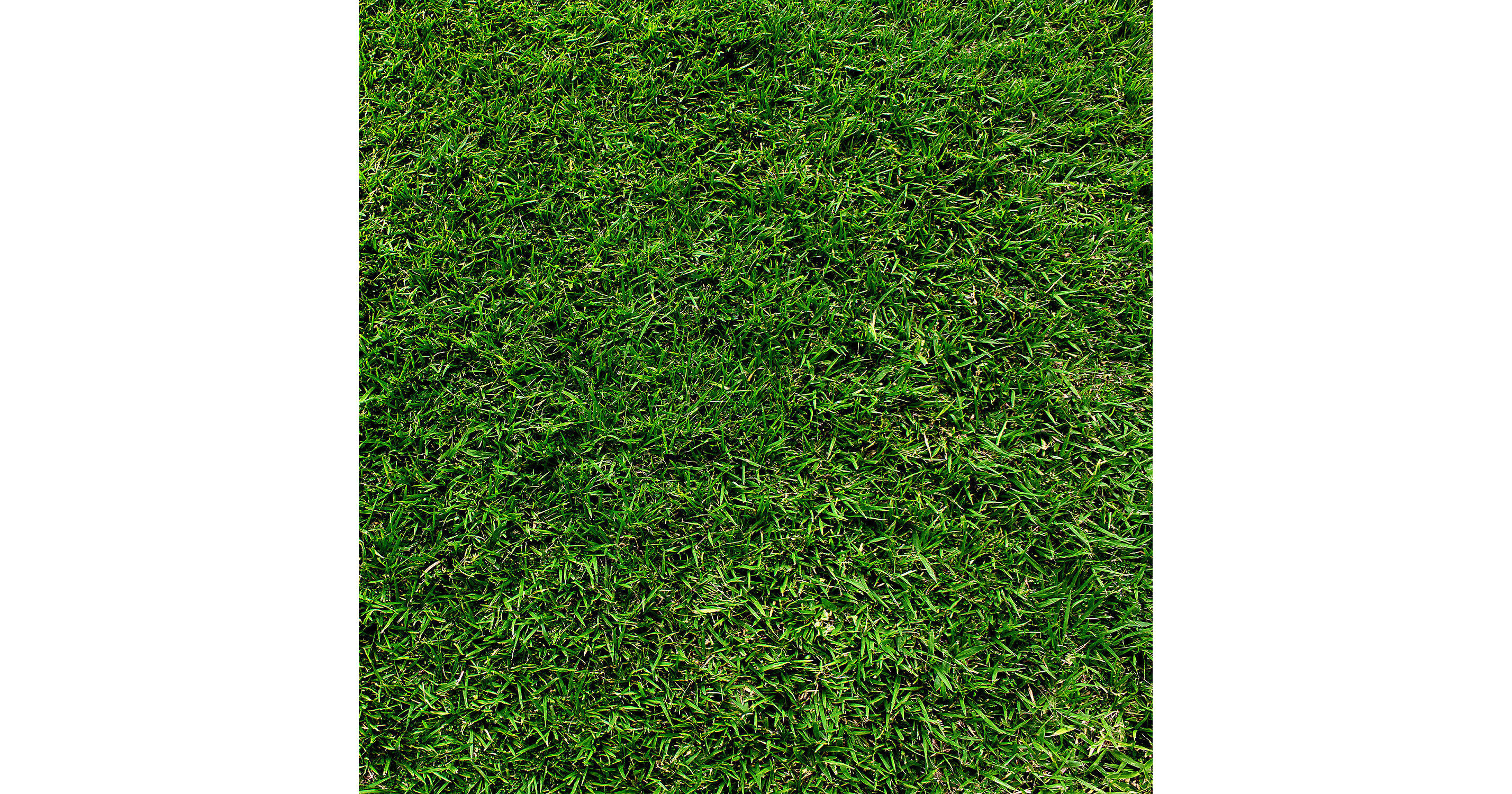 Westcott Green Grass Matte Vinyl Backdrop D013143X43VYMC1 B&H