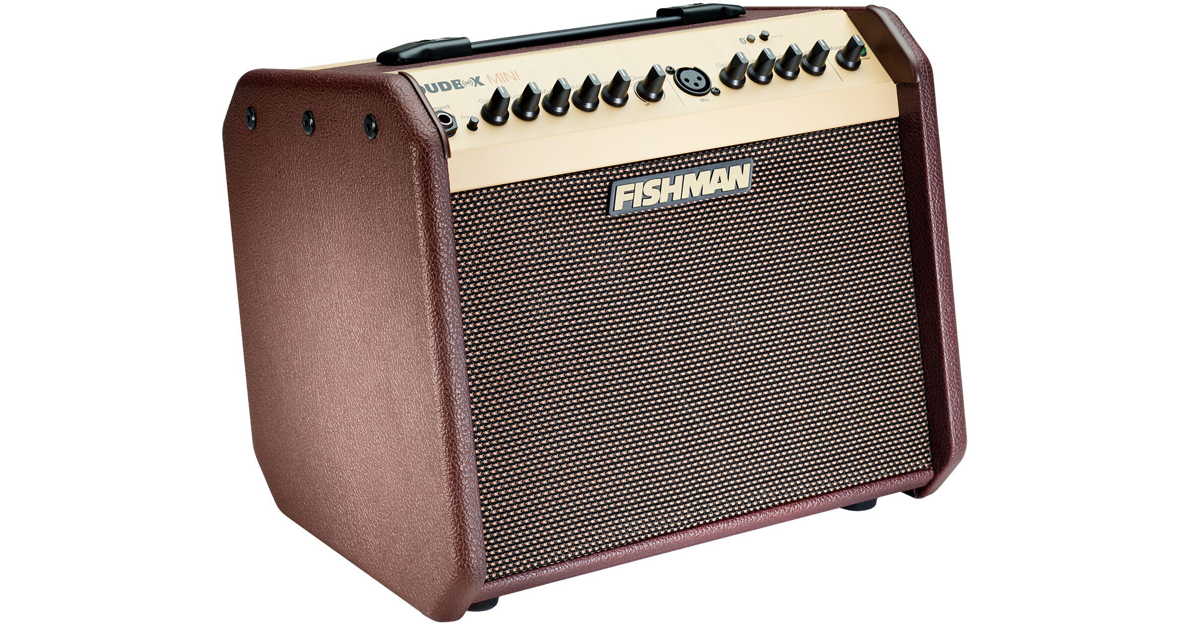 Fishman Loudbox Mini Bluetooth 60W Acoustic Combo PRO-LBT-500