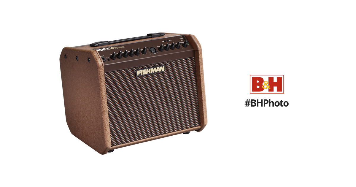 Fishman Loudbox Mini Charge 60W Portable Amplifier with Bluetooth  Connectivity