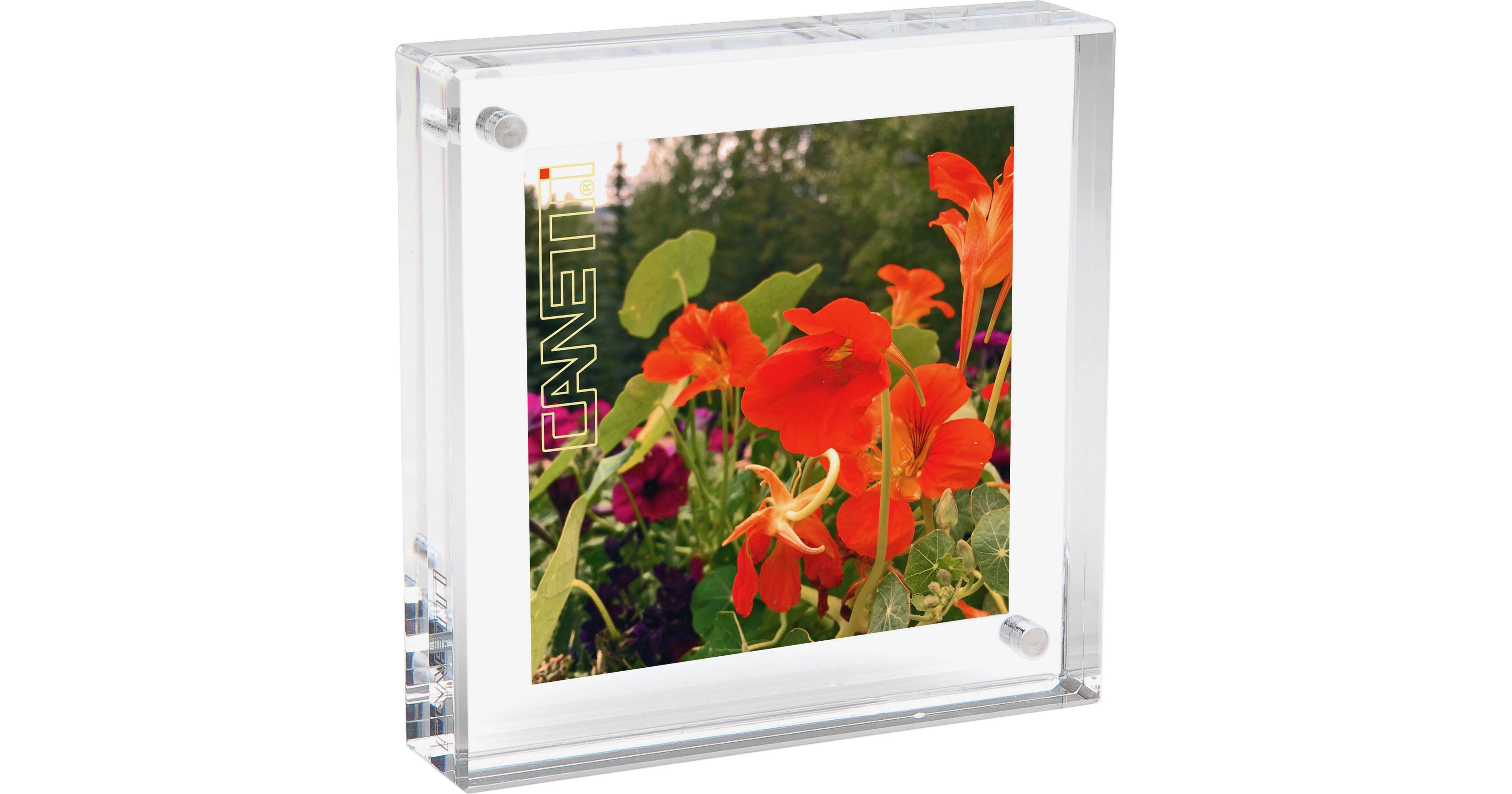 Canetti 6x8 Clear Acrylic Magnet Ready Made Frame - Style LC306