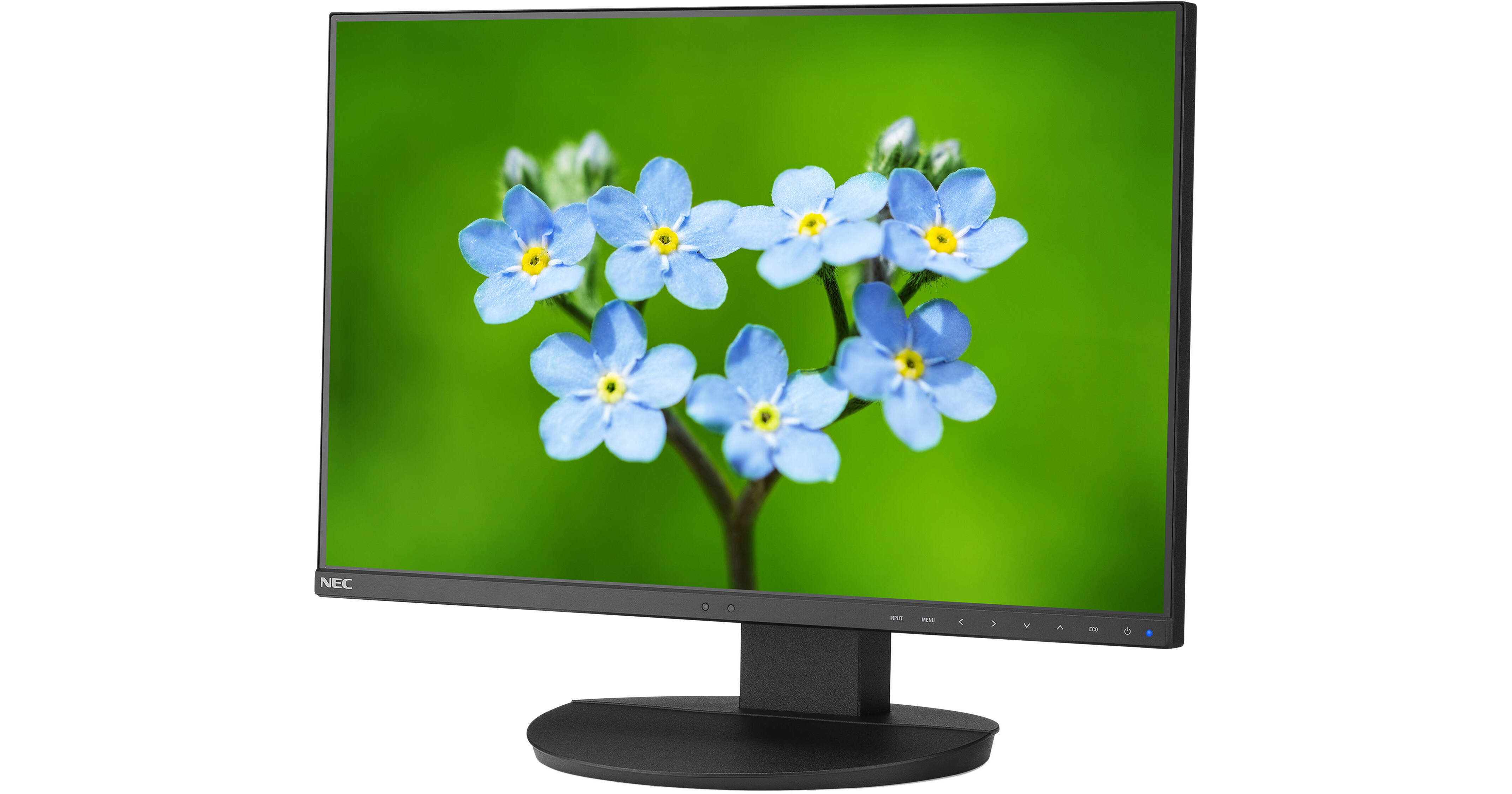 NEC MultiSync EA241F 23.8" 169 IPS Monitor (No Stand)