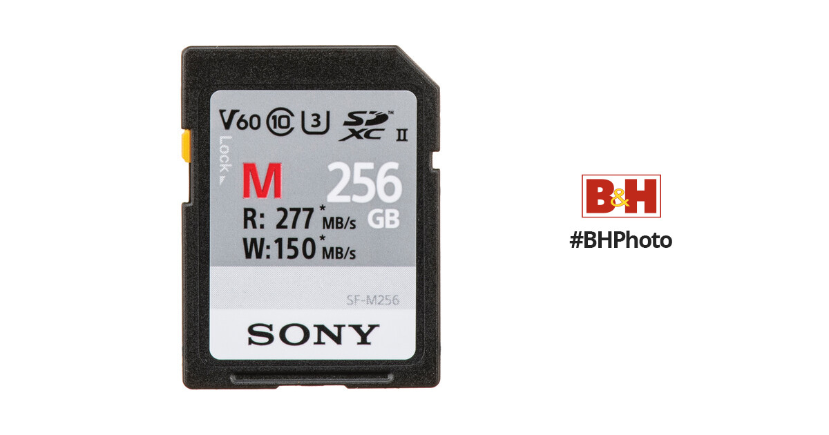 Sony 256GB SF-M UHS-II SDXC Memory Card SF-M256/T2 B&H