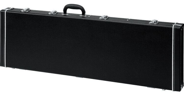 ibanez w250c case