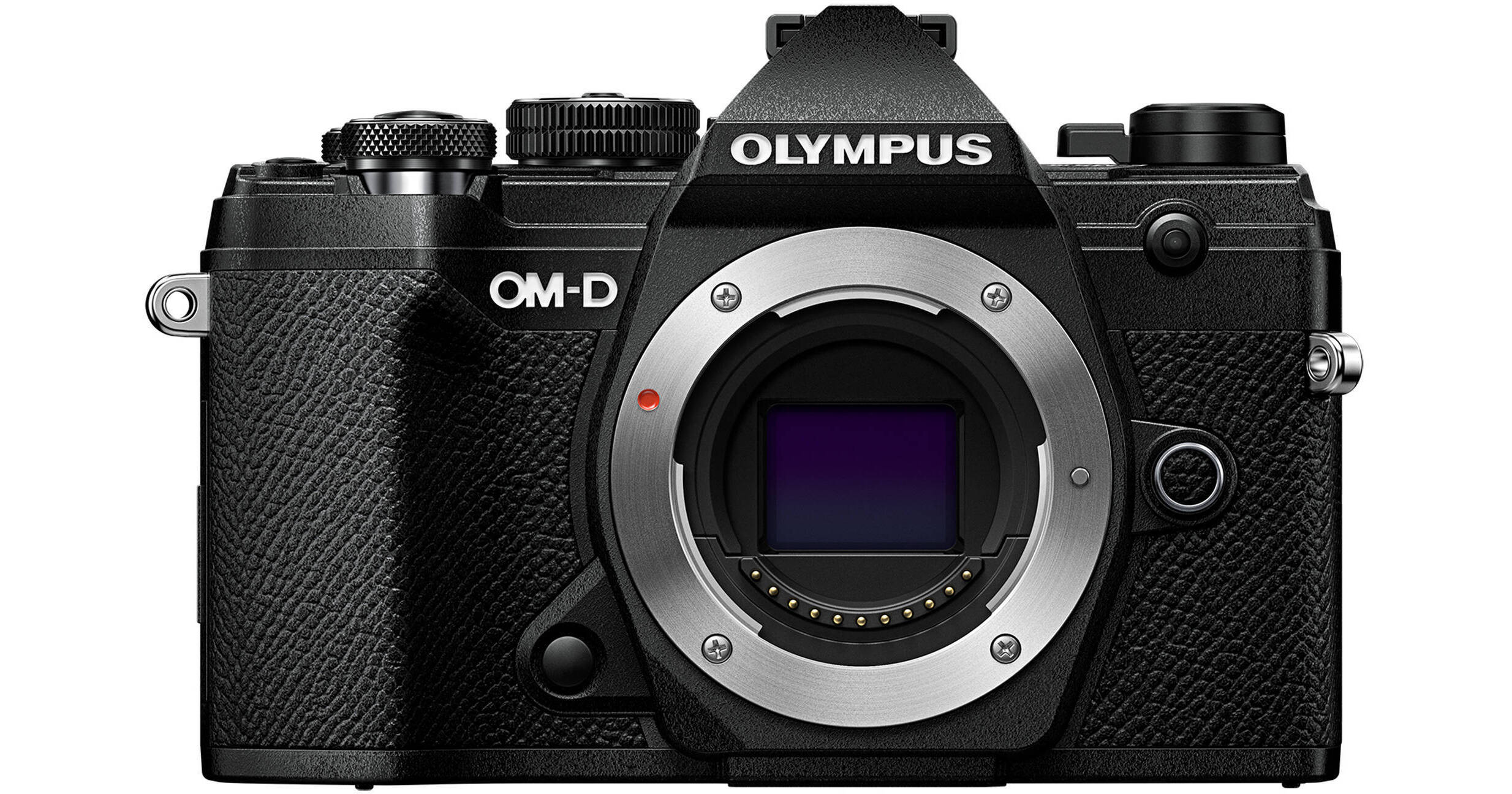 Olympus OM-D E-M5 Mark III Mirrorless Camera (Black)