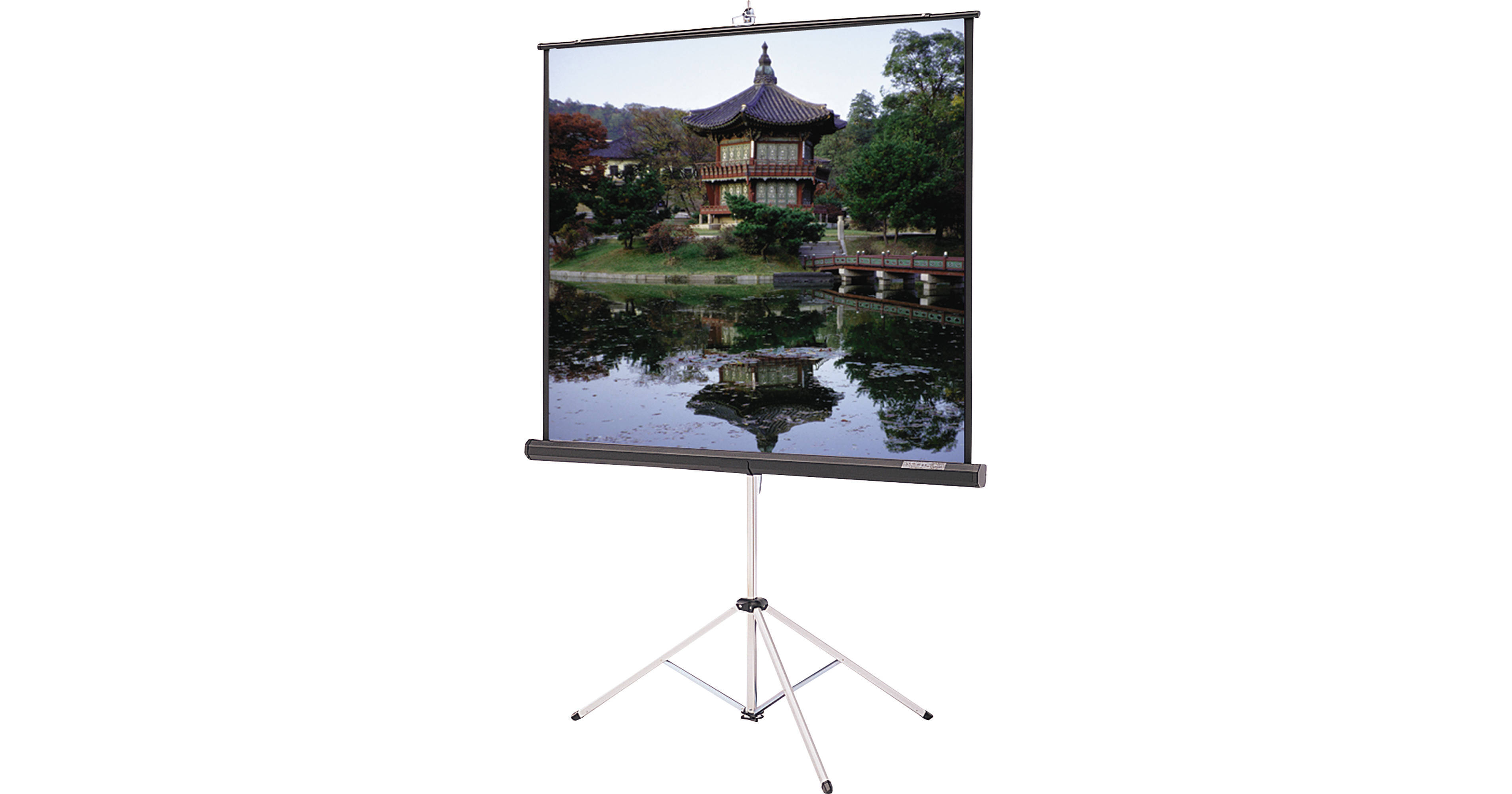 Экран 60. Экран Projecta на штативе. Экран на штативе Projecta picture King 124*213 cm. Matte White 16:9. Экран на треноге Projecta. Tripod Screen (84