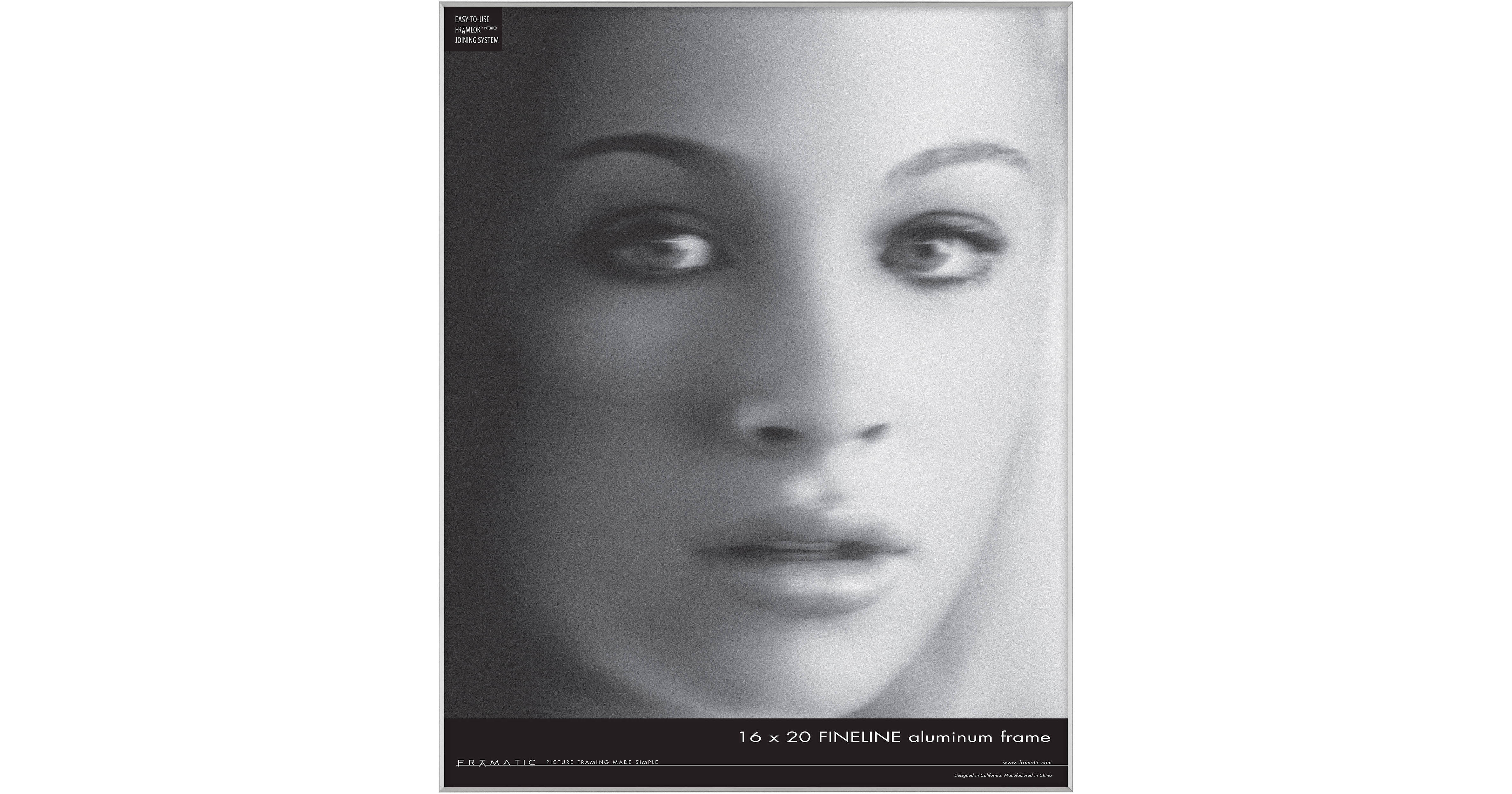 mcs-framatic-fineline-aluminum-frame-with-16-x-20-glass-300627