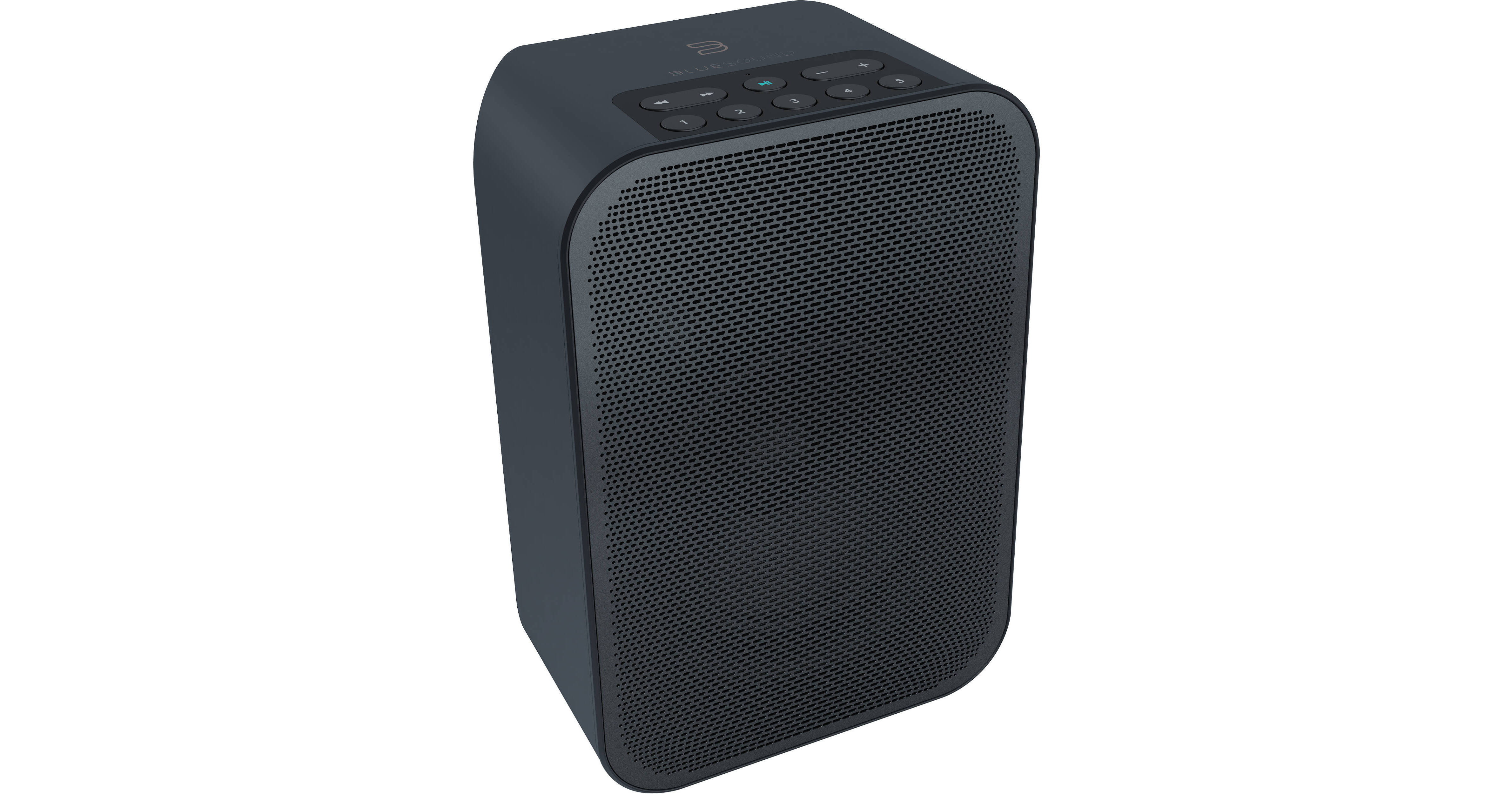 Bluesound PULSE FLEX 2i Wireless Speaker PULSE FLEX 2I BLK B&H