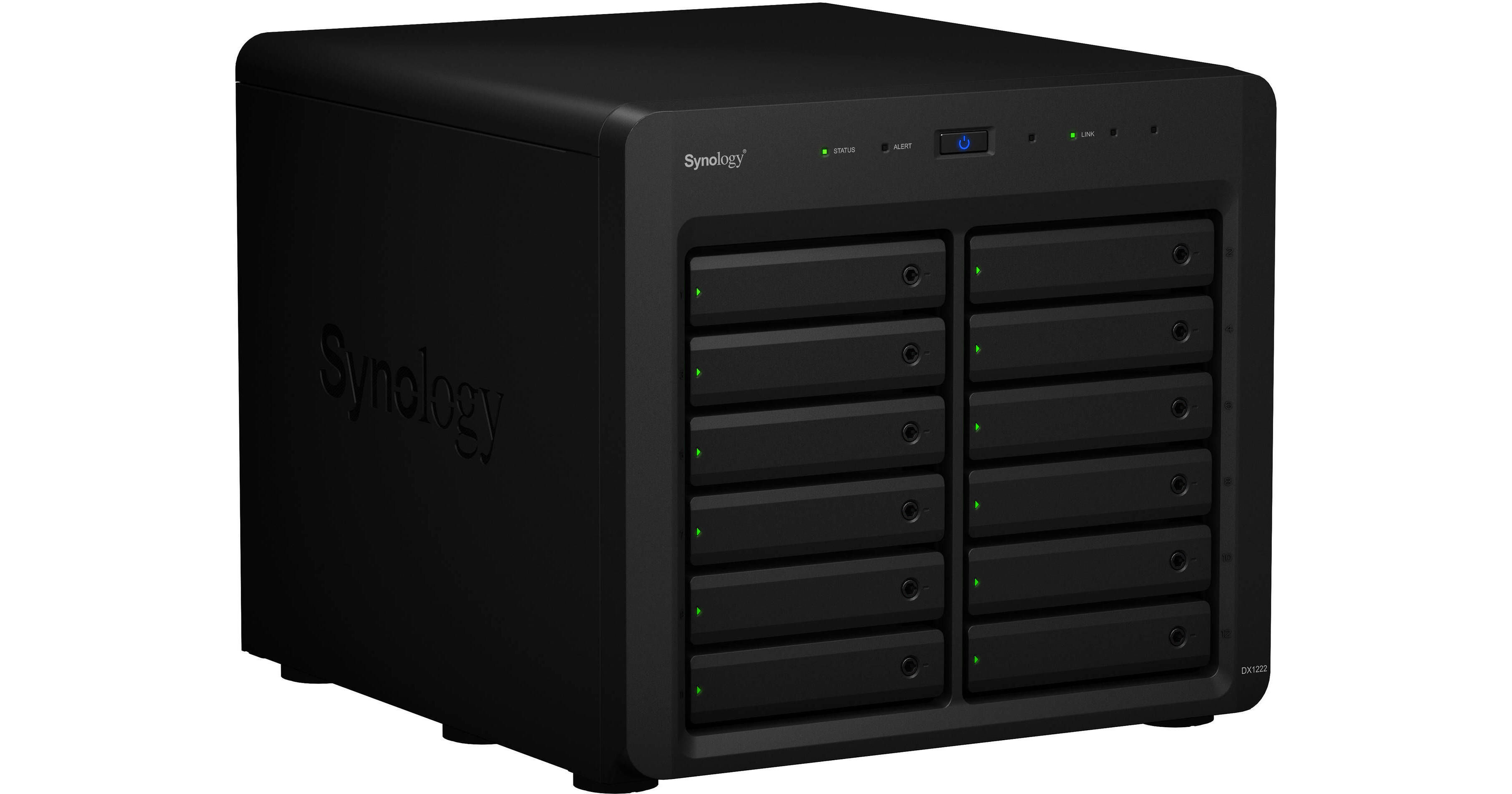 Synology DX1222 12-Bay Expansion Unit