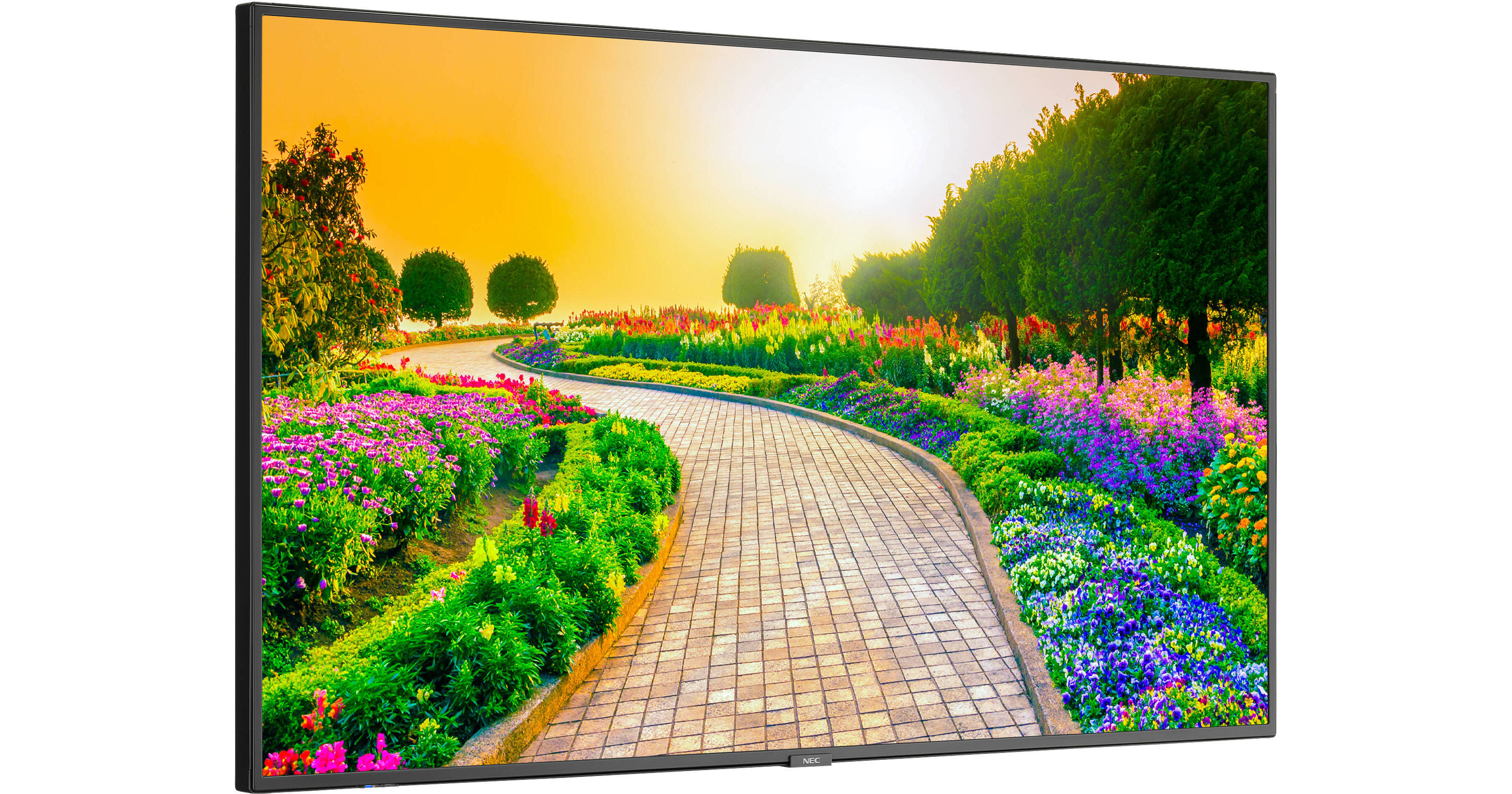 NEC MultiSync M491 49\