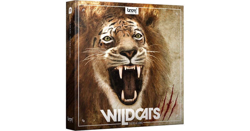 Wildcats  BOOM Library