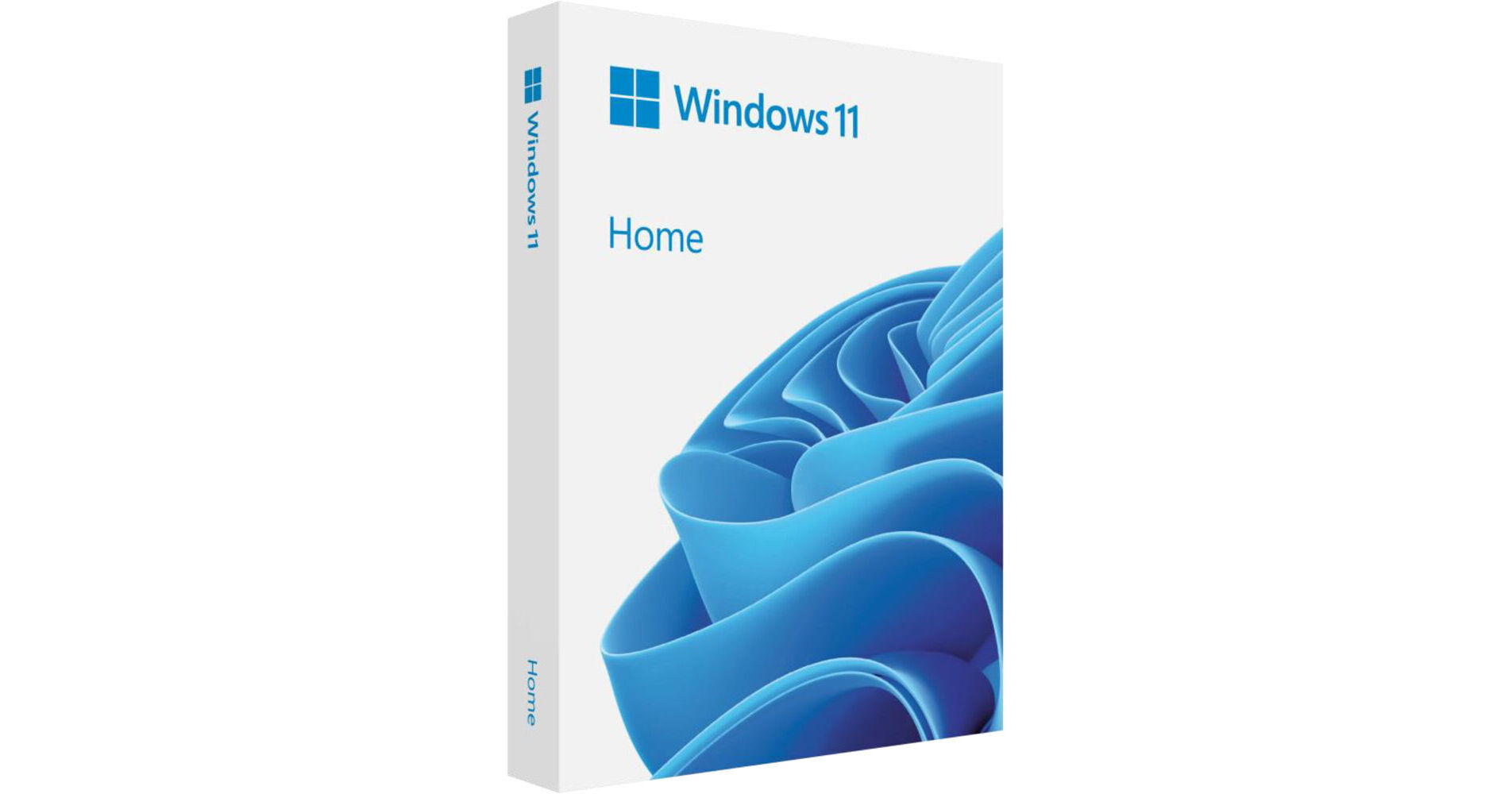 Microsoft Windows 11 Home (64-Bit, USB Flash Drive)