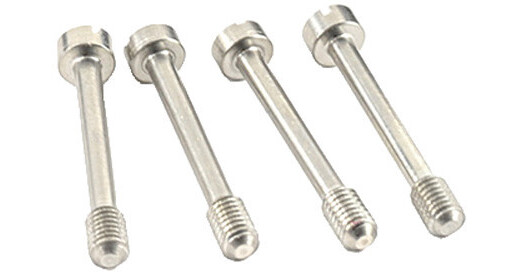 Lectrosonics Replacement Screws for 36016 DSR4 Mounting 28979