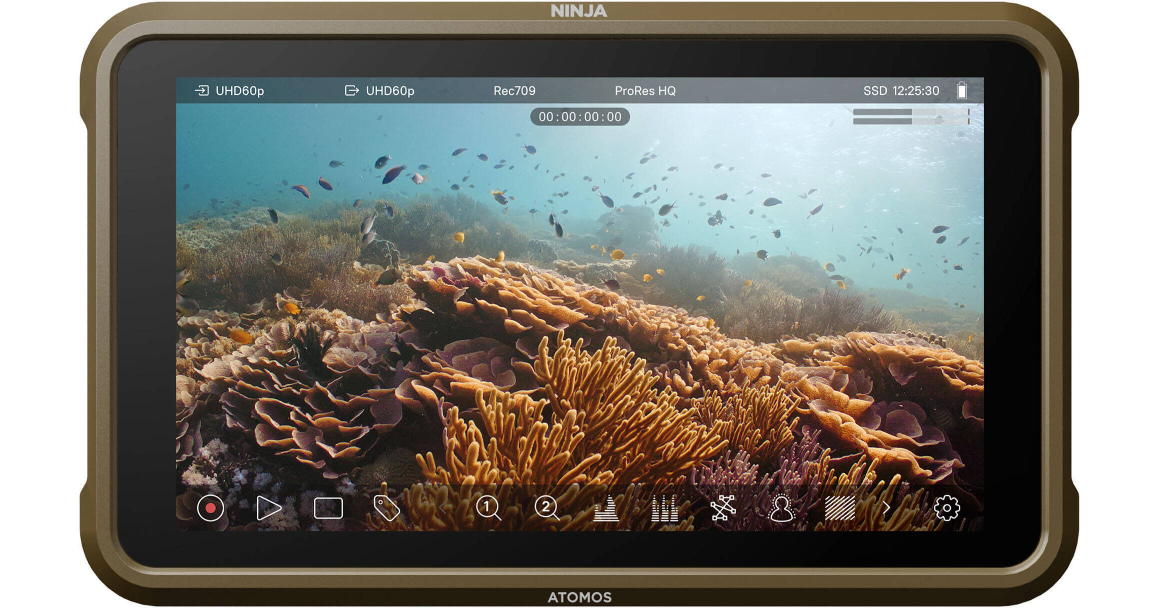 Atomos Ninja 5.2 4K HDMI Recording Monitor