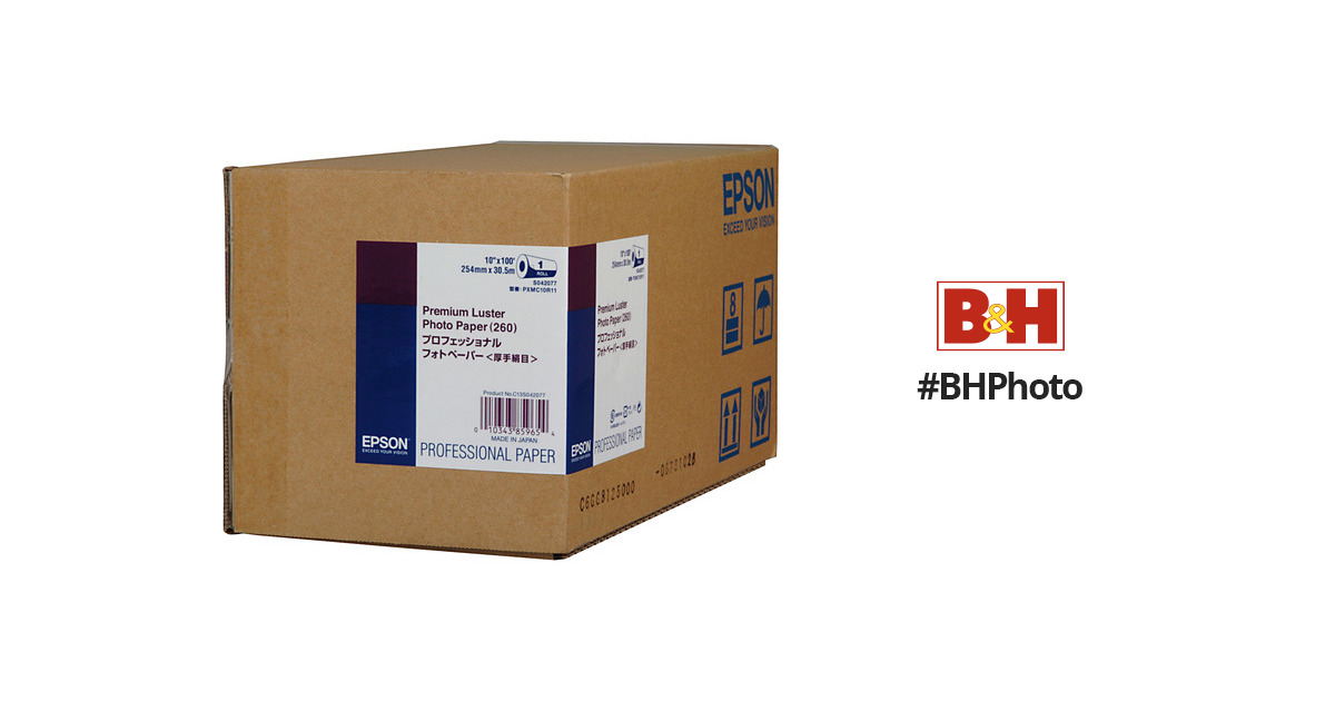 Epson - paper - 100 pcs. - Ledger - 105 g/m² - S041070 - Paper & Labels 
