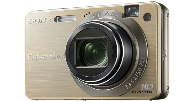 Sony Cyber-shot DSC-W170 Digital Camera (Gold) DSCW170/N B&H